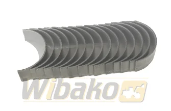Hauptlager STD Mahle D906/D916/D926 439HS21054000