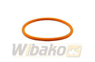  wbk 193736