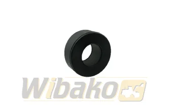  wbk 3935449