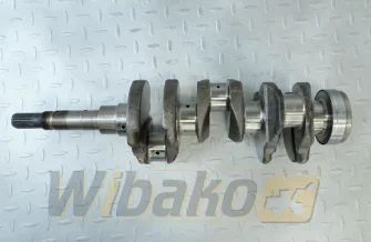 Kurbelwelle für Motor Kubota D1503 16414-23010