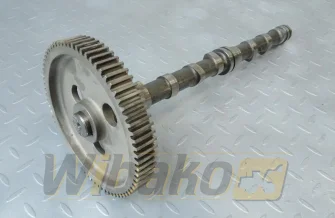 Nockenwelle für Motor Kubota V3307-T 1J771-16010