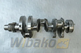 Kurbelwelle für Motor Yanmar 3TNV84T 129004-21002