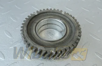 Z= 43, D= 96 mm für Motor Yanmar 3TNV84T 119802-25100