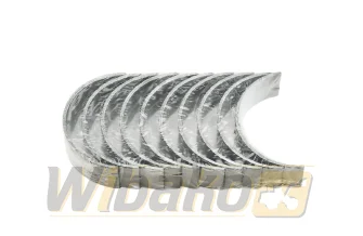 Hauptlager STD Mahle D904/D914/D924 439HS20908000