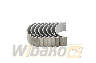 Pleuel Kurbelwelle STD Mahle D904/D914/D924 439PS20910000