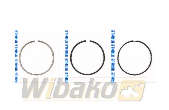Kolbenringe STD Mahle 43913N0