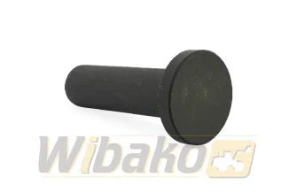  BF Original 201012B6060