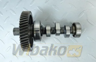 Nockenwelle pompy wtryskowej für Motor Kubota D1305 16020-16172