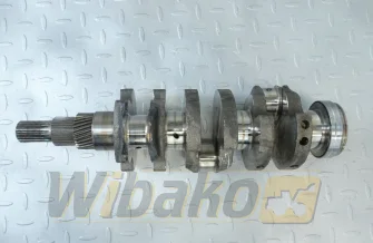 Kurbelwelle für Motor Kubota D1305 1G188-23013