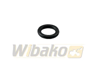  wbk 6CT 3910824