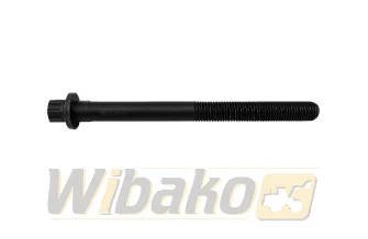M16x2.0x195x100 wbk 10131573