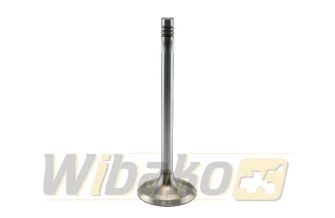 wbk BF1011 04170898