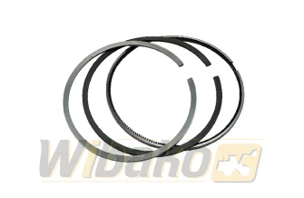 Kolbenringe STD wbk 16812201