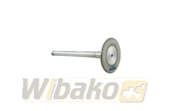  wbk 9268282