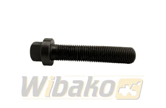  BF Original TCD2015 20060541340
