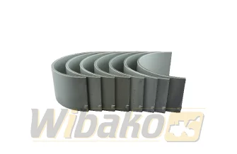 Pleuel Kurbelwelle STD Kolbenschmidt 77686600