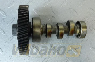 Nockenwelle pompy wtryskowej für Motor Kubota D1305 16040-16170