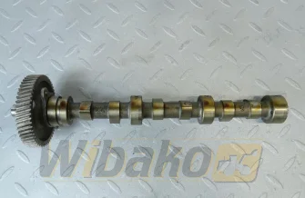 Nockenwelle für Motor Kubota D1305 16261-16912