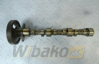 Nockenwelle für Motor Kubota D1703 17331-16010