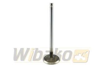  wbk 3802356