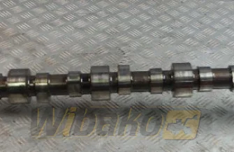 Nockenwelle für Motor Cummins QSL9 