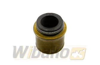  wbk C6204414541