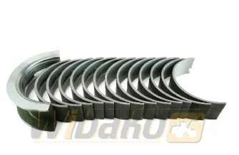 Hauptlager STD Kolbenschmidt 77798600