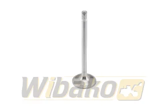  wbk 9279965