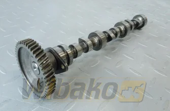 Nockenwelle für Motor Kubota D902 1G962-16015