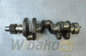 Kurbelwelle für Motor Yanmar 3TNE74 119624-21700
