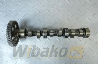 Nockenwelle für Motor Yanmar 3TNE74 119629-14580