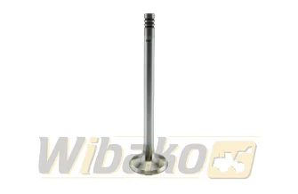  wbk BF1011 04170899