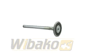 Hauptlager STD Mahle MERCEDES-BENZ 001HL10267000