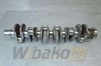 Kurbelwelle für Motor Deutz BF6M1013 04209125R