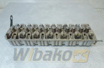 Motor Zylinderkopf für Motor Deutz BF6M1013 
