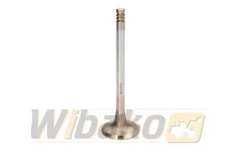 Kurbelwelle STD BF Original 20050510156