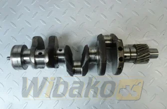 Kurbelwelle für Motor Yanmar 3TNE68 119266-21700