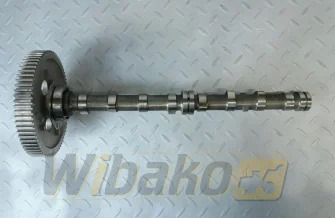 Nockenwelle für Motor Kubota V3307-T 1J771-16010