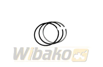 Kolbenringe wbk QSL/QSC 4089644