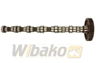 Nockenwelle BF Original 20100520136