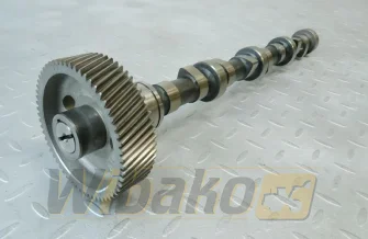 Nockenwelle für Motor Perkins 700 3141D144