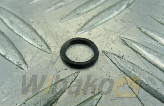o-ring IN/EX, 11x8mm wbk 01153856