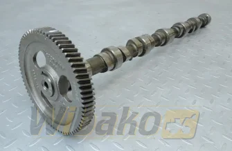 Nockenwelle für Motor Cummins 5.9 3914639