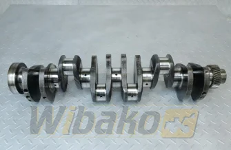 Kurbelwelle für Motor Cummins 5.9 3907804