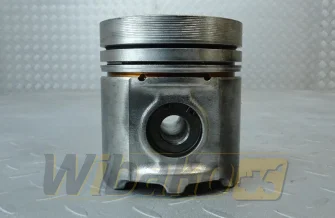 Kolben des Motors STD Deutz 02931454