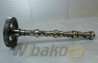 Nockenwelle für Motor Cummins 3.9 3929885
