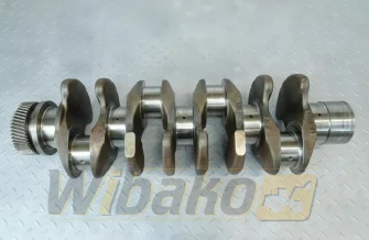 Kurbelwelle für Motor Liebherr D934 L08625
