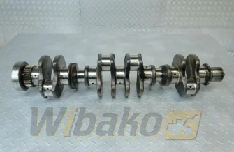 Kurbelwelle für Motor Cummins QSB6.7 4934862