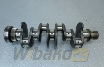 Kurbelwelle Cummins 5289839