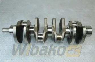 Kurbelwelle für Motor Liebherr D924 9880006